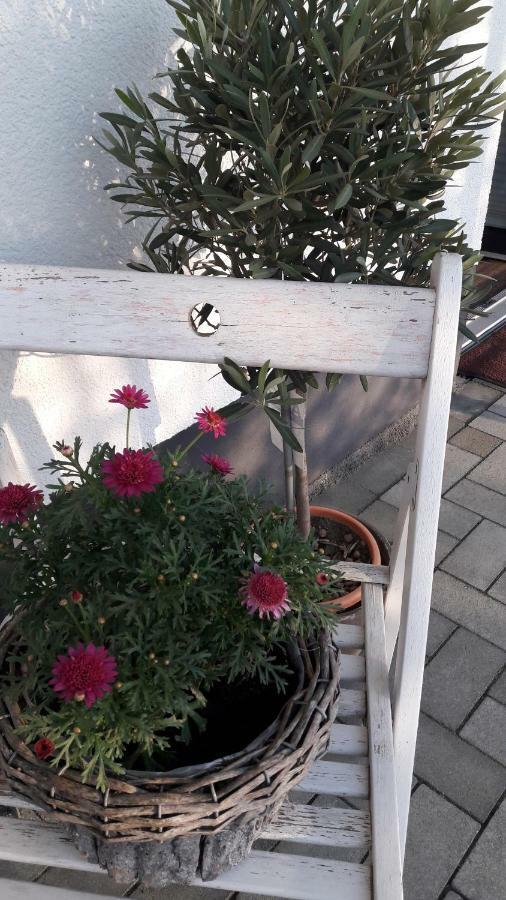 Ferienwohnung Sayntalblick Caan Exterior foto