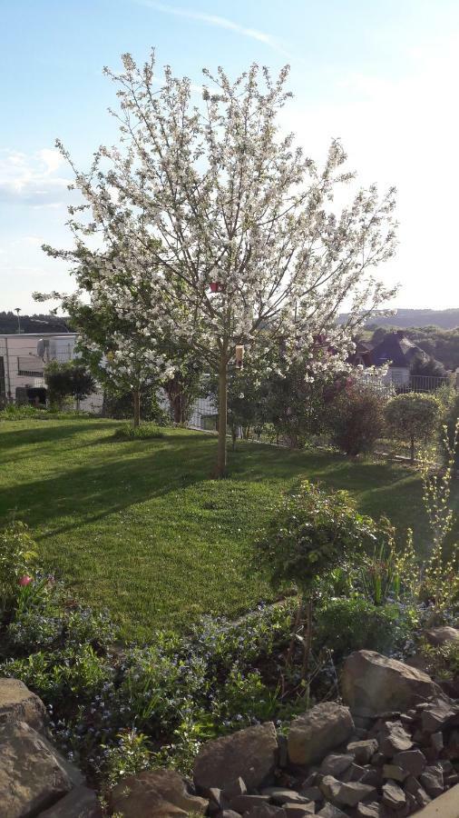 Ferienwohnung Sayntalblick Caan Exterior foto